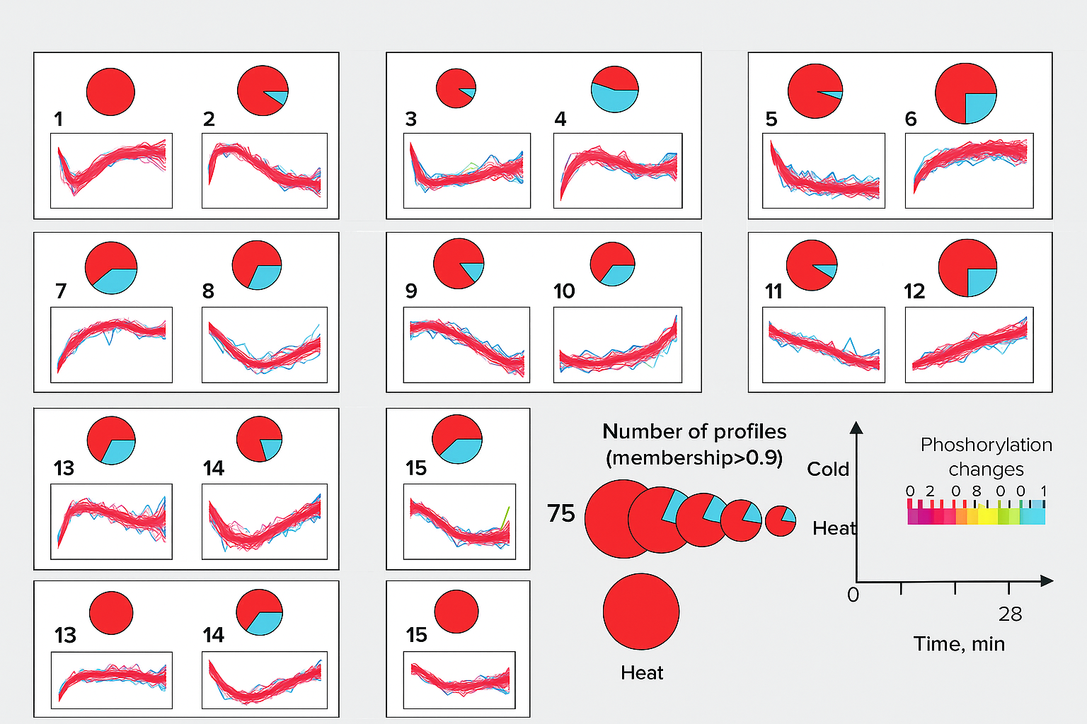 Phosphoproteome dynamics